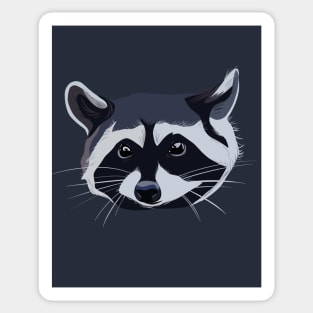 Raccon Sticker